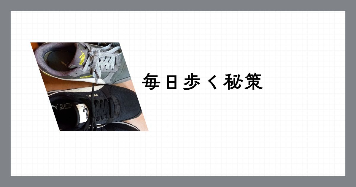 s散歩用のスニーカー